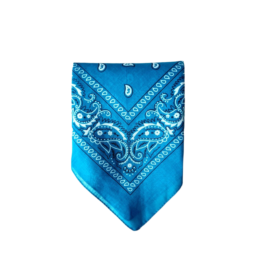 Bandana blue